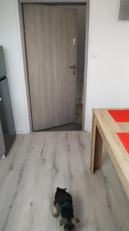 Apartament Witkacego Czerwony Слупськ Екстер'єр фото